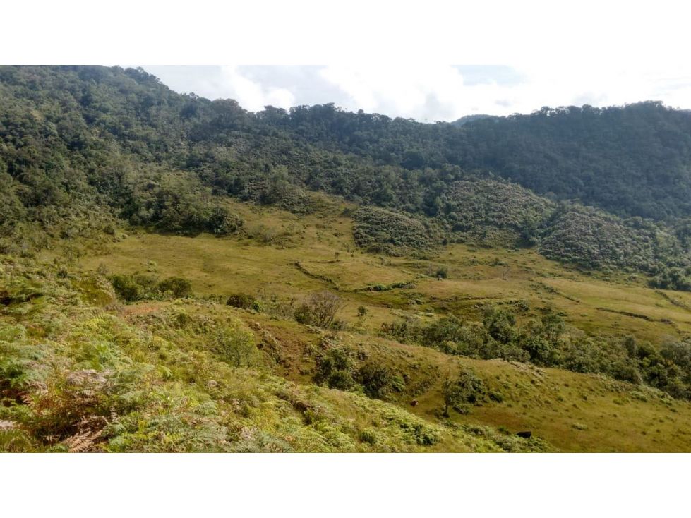 Lote en venta Antioquia El Carmen De Viboral El Centro 470000 m2 Habitaciones 0 Baños 0 Garajes 0 Precio $850000000