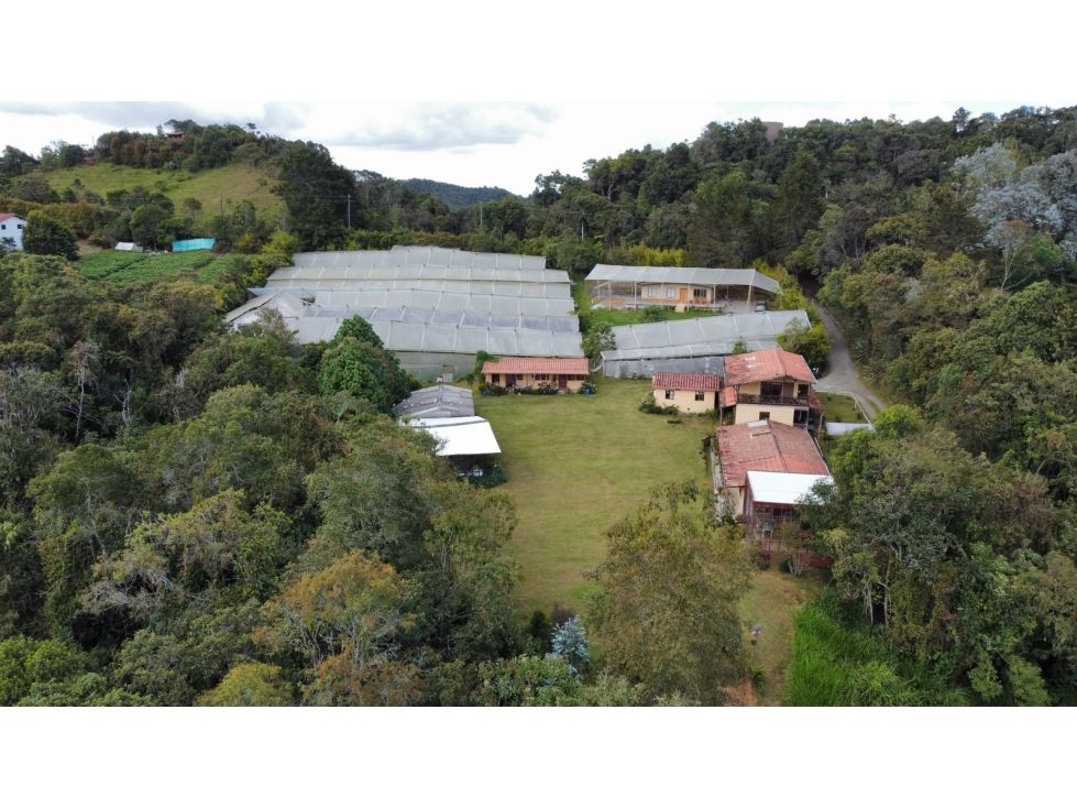 Finca en arriendo Antioquia Envigado Envigado 700 m2 Habitaciones 18 Baños 10 Garajes 8 Precio $22000000
