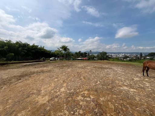 Lote en venta Risaralda Dosquebradas Campestre A 1800 m2 Habitaciones 0 Baños 0 Garajes 0 Precio $600000000