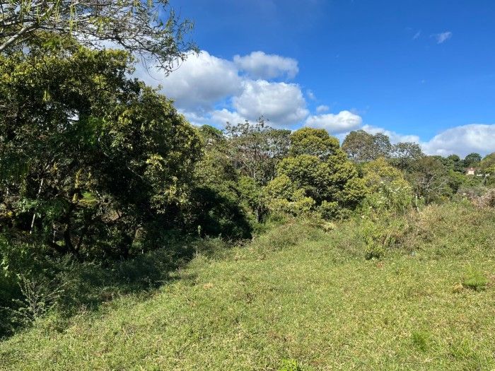 Lote en venta Cauca Popayán Olivares Del Norte 500 m2 Habitaciones 0 Baños 0 Garajes 0 Precio $275000000