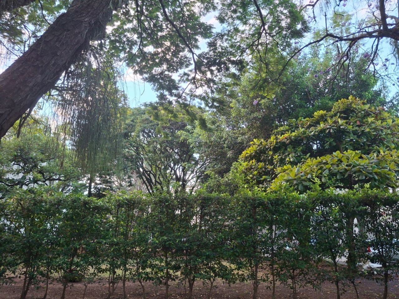 Apartamento en venta Valle Del Cauca Cali Bosques Del Limonar 72 m2 Habitaciones 3 Baños 2 Garajes 1 Precio $270000000