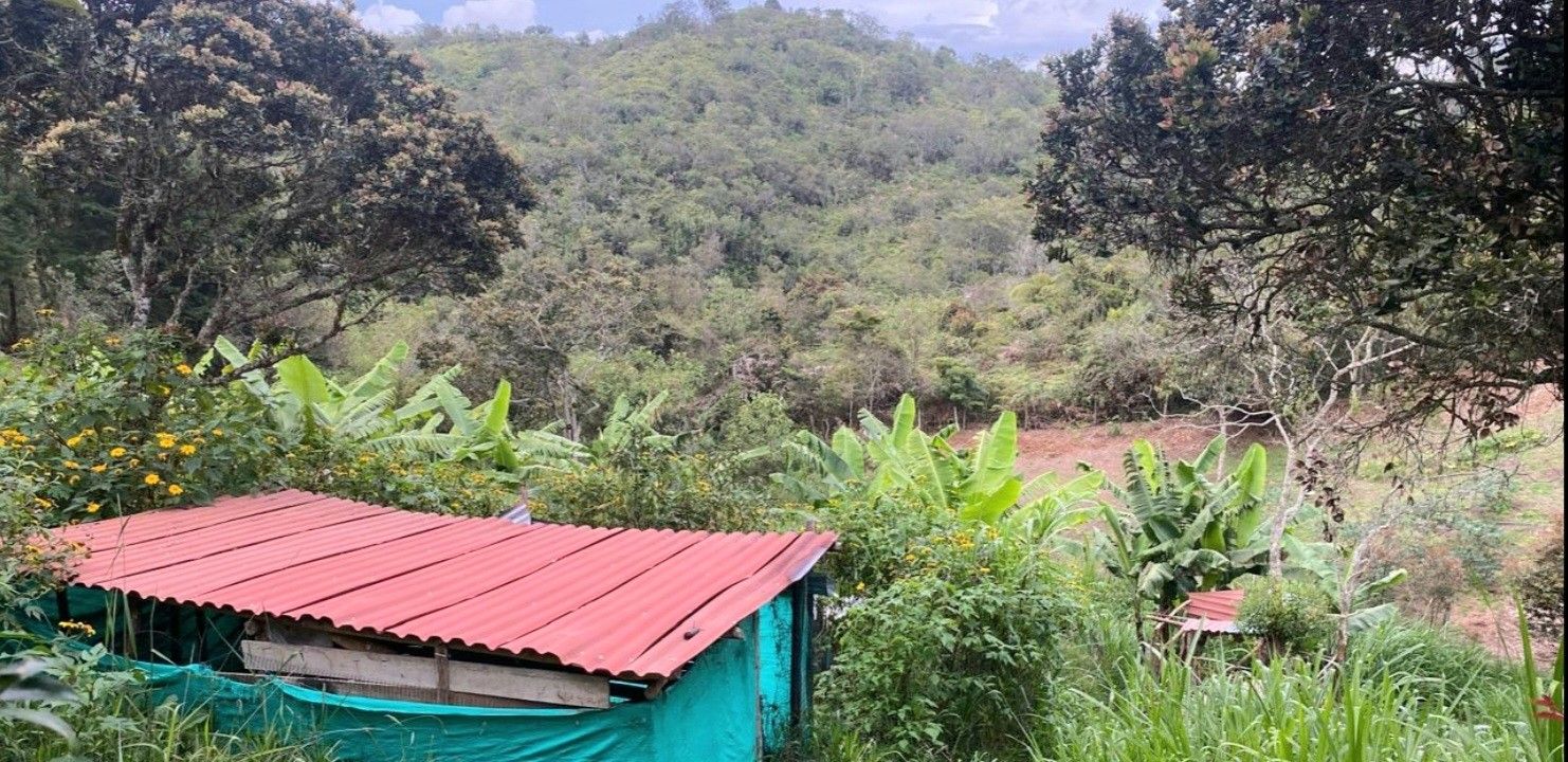 Finca en venta Antioquia Rionegro Rionegro 140 m2 Habitaciones 3 Baños 3 Garajes 1 Precio $980000000