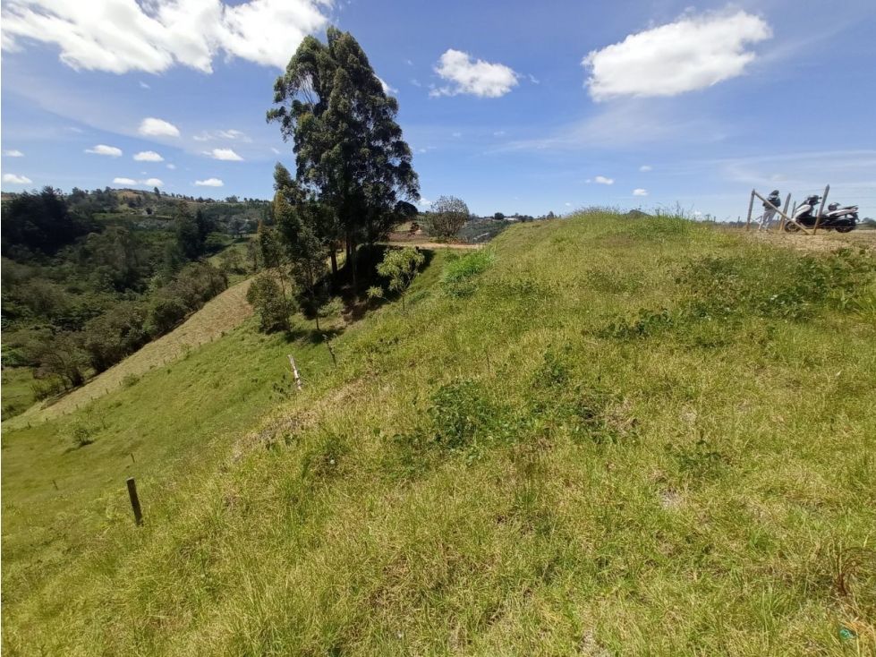 Lote en venta Antioquia San Vicente San Vicente 2800 m2 Habitaciones 0 Baños 0 Garajes 0 Precio $270000000