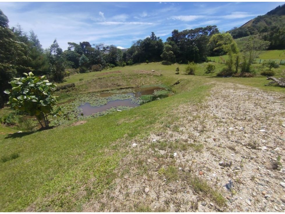Lote en venta Antioquia El Carmen De Viboral El Carmen De Viboral 4450 m2 Habitaciones 0 Baños 0 Garajes 0 Precio $980000000