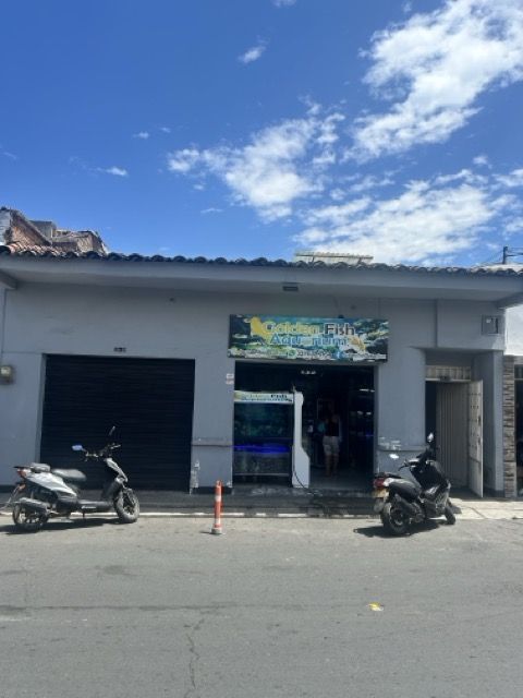 Casa en venta Valle Del Cauca Palmira Colombia 239 m2 Habitaciones 6 Baños 3 Garajes 0 Precio $600000000