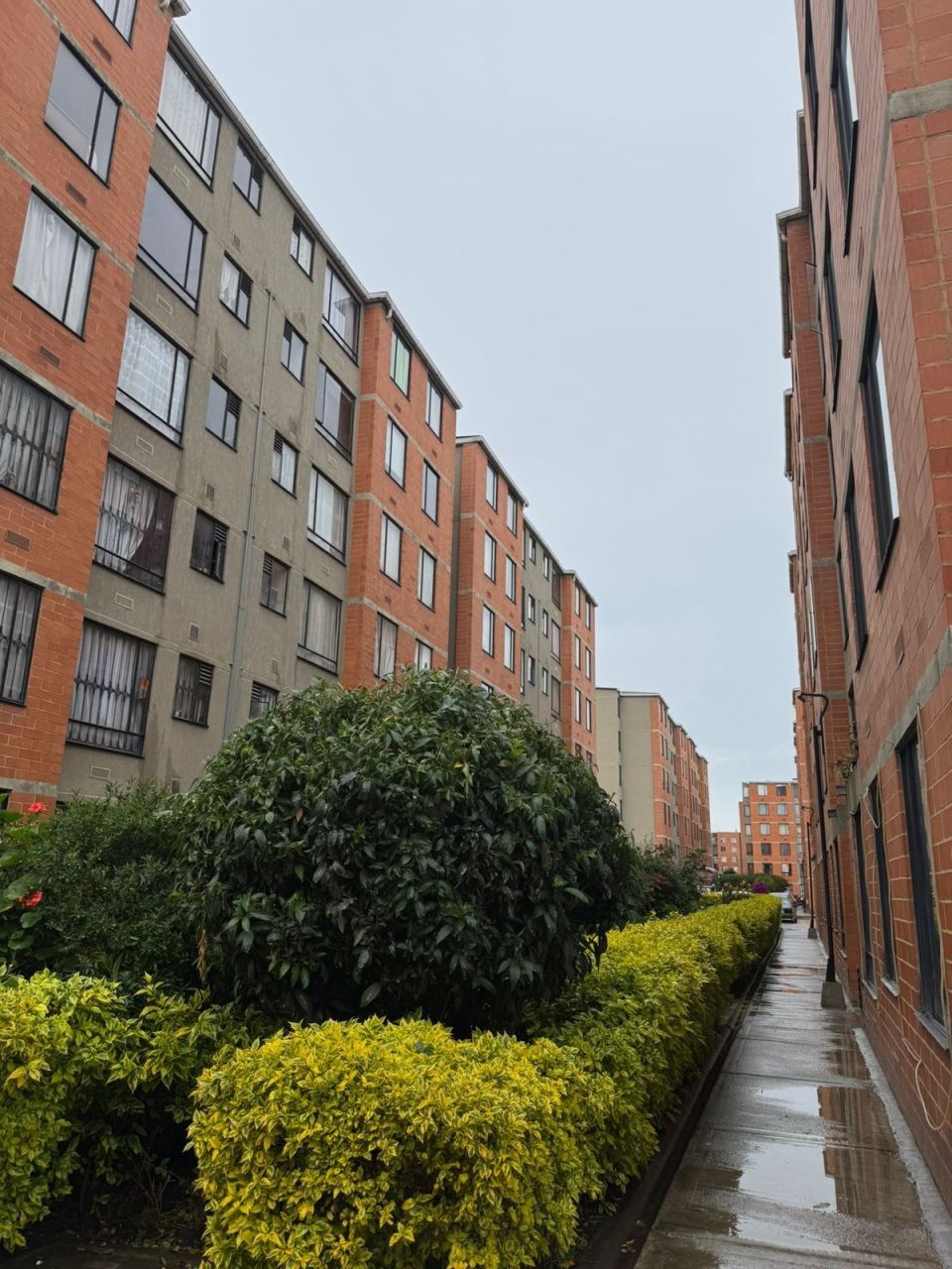 Apartamento en arriendo Cundinamarca Bogotá San Bernardino Xxii 48 m2 Habitaciones 3 Baños 1 Garajes 0 Precio $1168300