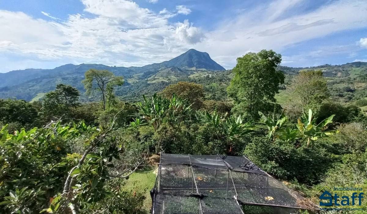 Finca en venta Antioquia Fredonia Fredonia 33600 m2 Habitaciones 6 Baños 4 Garajes 2 Precio $800000000