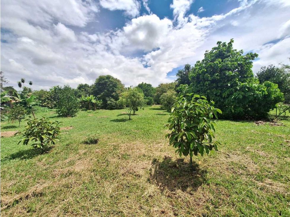 Lote en venta Valle Del Cauca Ginebra Ginebra 80 m2 Habitaciones 0 Baños 1 Garajes 3 Precio $700000000
