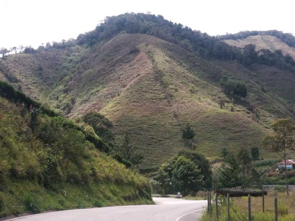 Lote en venta Antioquia Ciudad Bolívar Ciudad Bolívar 8 m2 Habitaciones 0 Baños 0 Garajes 0 Precio $650000000