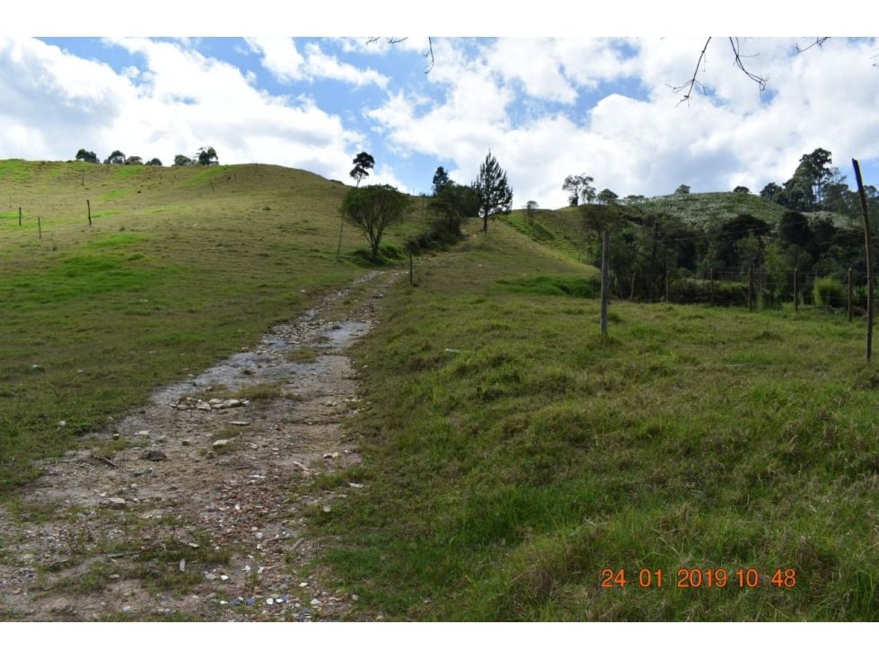 Lote en venta Antioquia El Retiro El Retiro 75526 m2 Habitaciones 0 Baños 0 Garajes 0 Precio $800000000