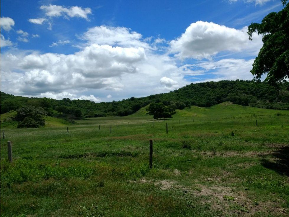 Finca en venta Tolima Armero Armero 1 m2 Habitaciones 4 Baños 2 Garajes 4 Precio $12000000000