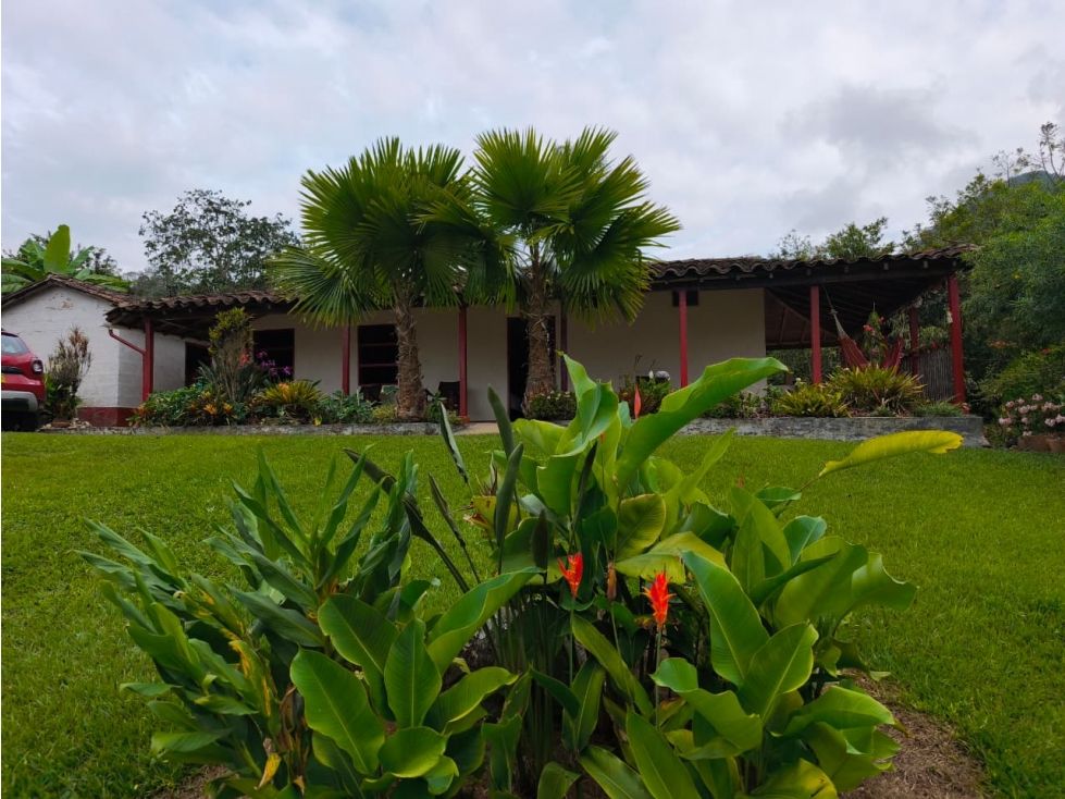 Finca en venta Antioquia Titiribí Titiribí 100 m2 Habitaciones 3 Baños 2 Garajes 4 Precio $670000000