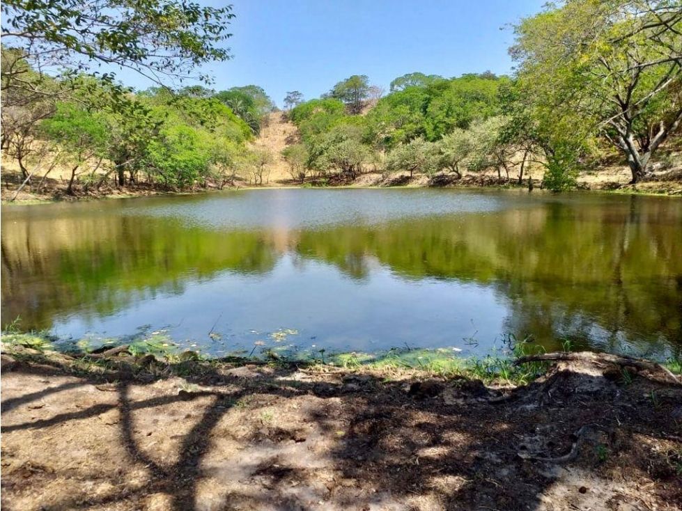 Finca en venta Tolima Armero Armero 400 m2 Habitaciones 4 Baños 2 Garajes 4 Precio $12000000000