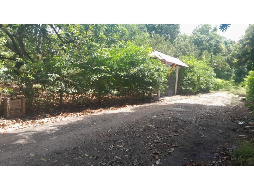 Finca en venta Tolima Armero Armero 389 m2 Habitaciones 4 Baños 2 Garajes 0 Precio $440000000