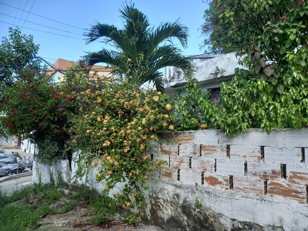 Lote en venta Bolívar Cartagena Br Britania Unidad Residencial 86 m2 Habitaciones 0 Baños 0 Garajes 0 Precio $230000000
