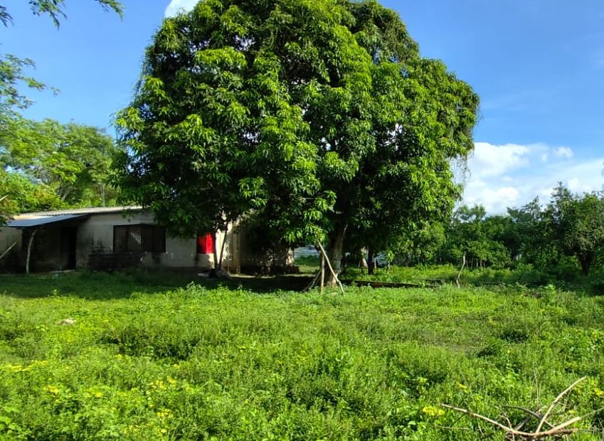 Lote en venta Sucre Sampués Sampués 0 m2 Habitaciones 0 Baños 1 Garajes 0 Precio $450000000
