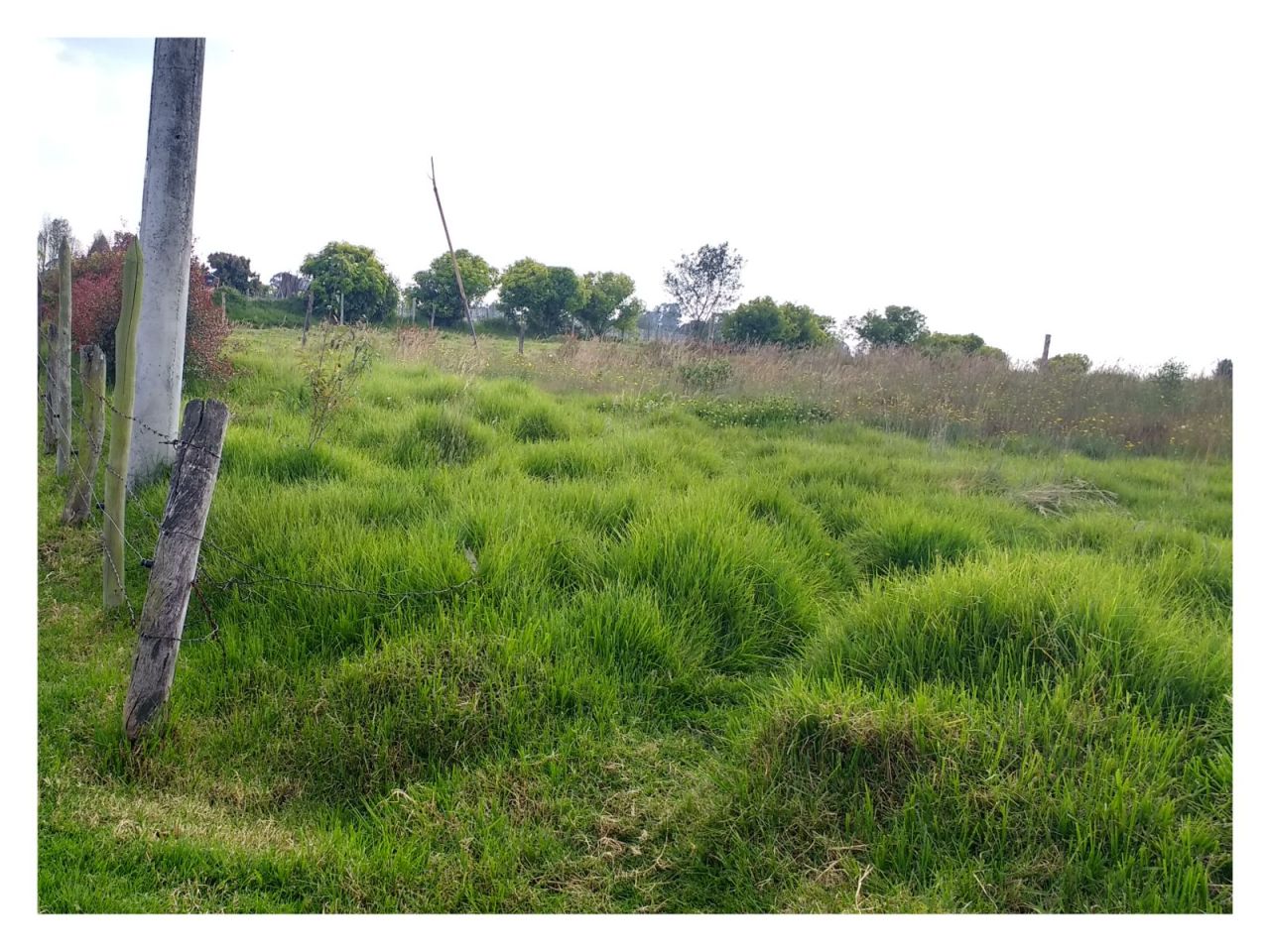 Lote en venta Cundinamarca Bogotá Autopista Medellin 250 m2 Habitaciones 0 Baños 0 Garajes 0 Precio $1400000000