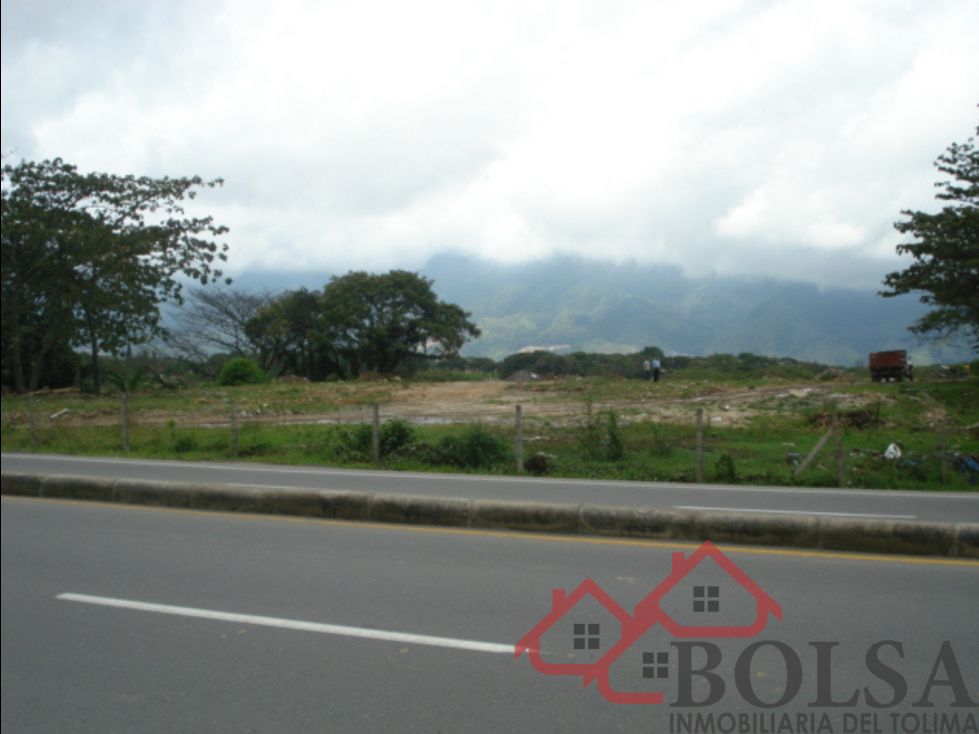 Lote en venta Tolima Ibagué Ub Villa Cafe 52426 m2 Habitaciones 0 Baños 0 Garajes 0 Precio $8388160000
