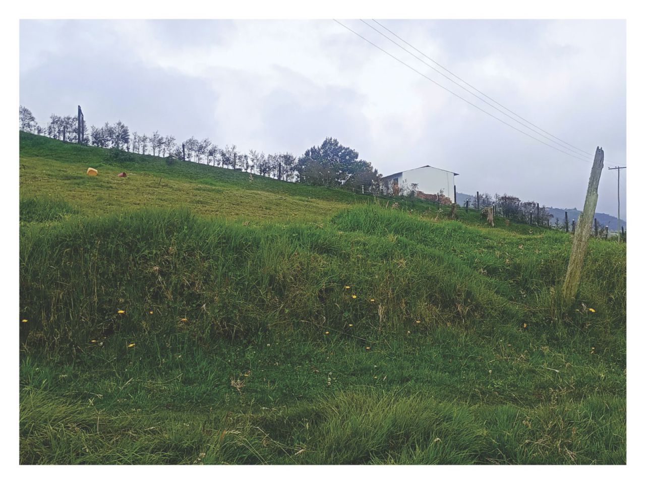 Finca en venta Cundinamarca Villapinzón Villapinzón 200 m2 Habitaciones 3 Baños 1 Garajes 0 Precio $180000000