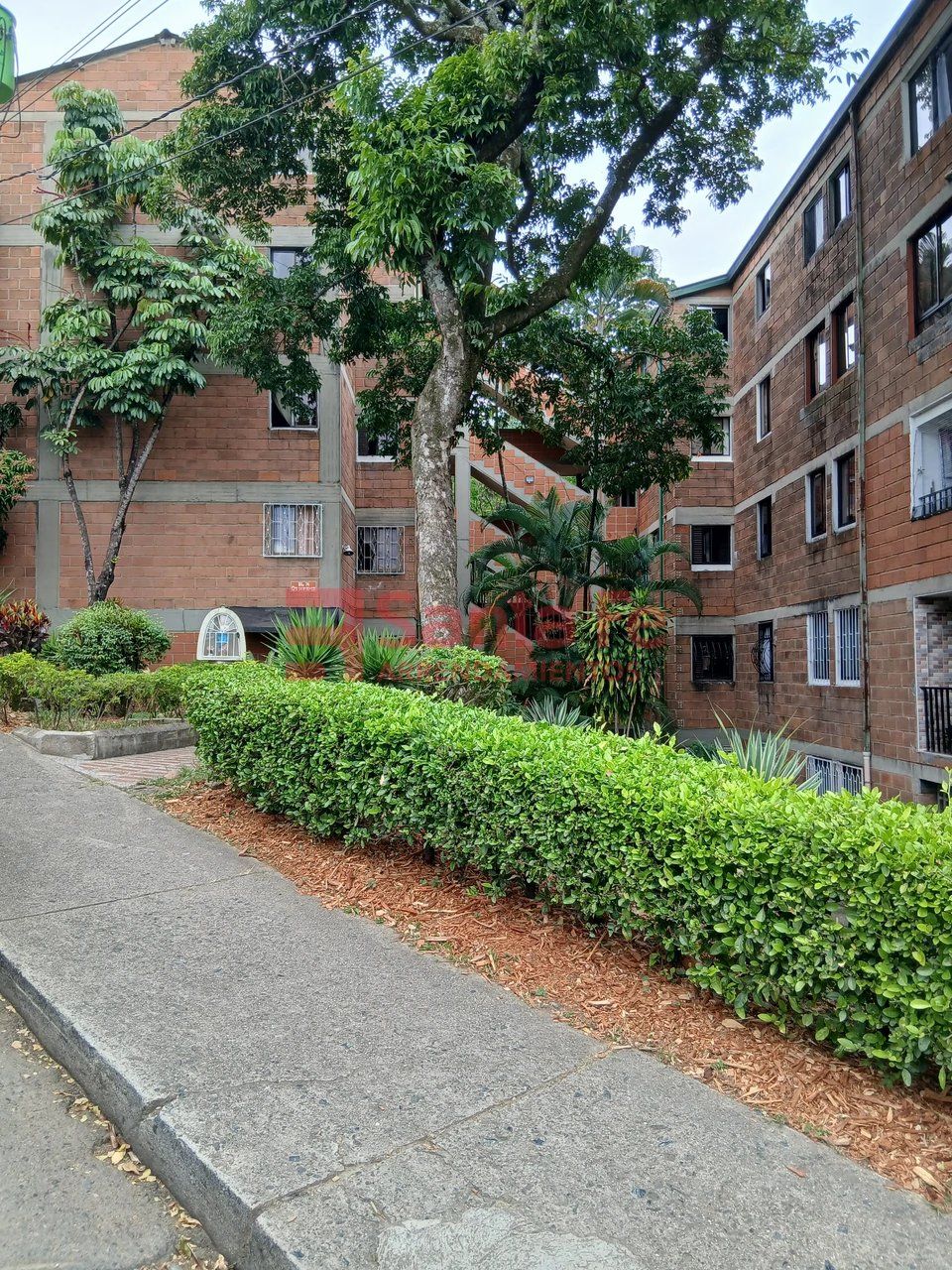 Apartamento en arriendo Antioquia Medellín Belalcazar 67 m2 Habitaciones 3 Baños 1 Garajes 0 Precio $1800000