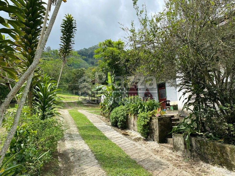 Finca en venta Tolima Ibagué Santa Helena 220000 m2 Habitaciones 0 Baños 0 Garajes 0 Precio $1100000000