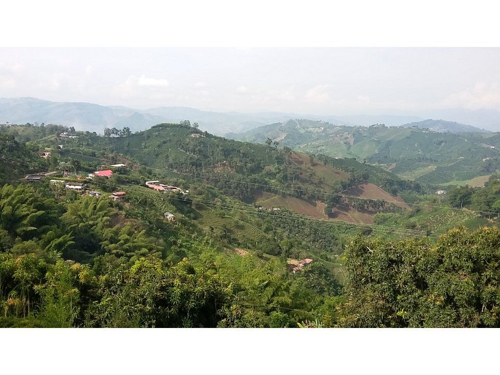 Finca en venta Caldas Manizales Manizales 240 m2 Habitaciones 5 Baños 2 Garajes 3 Precio $600000000