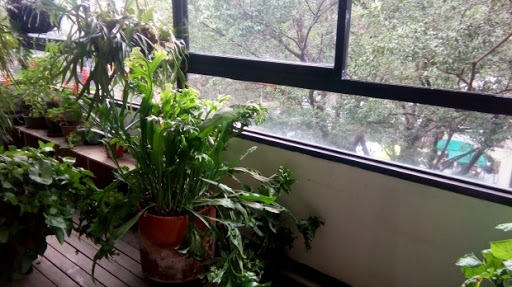 Apartamento en venta Antioquia Medellín Laureles 157 m2 Habitaciones 3 Baños 4 Garajes 2 Precio $495000000