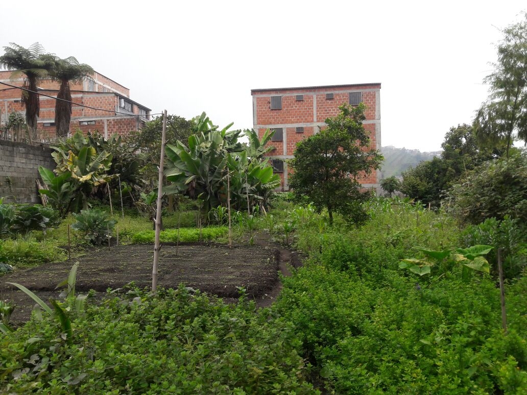 Lote en venta Caldas Villamaría Villa Maria Vieja 1100 m2 Habitaciones 0 Baños 10 Garajes 1 Precio $1400000000