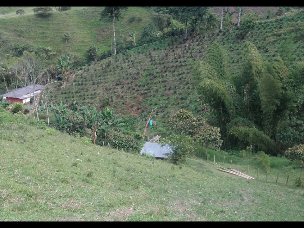 Finca en venta Caldas Chinchiná Chinchiná 5 m2 Habitaciones 4 Baños 2 Garajes 0 Precio $400000000