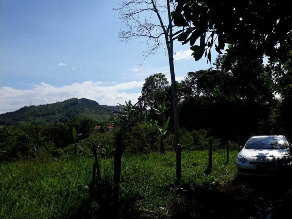 Lote en venta Caldas Palestina Palestina 2590 m2 Habitaciones 0 Baños 0 Garajes 0 Precio $445000000