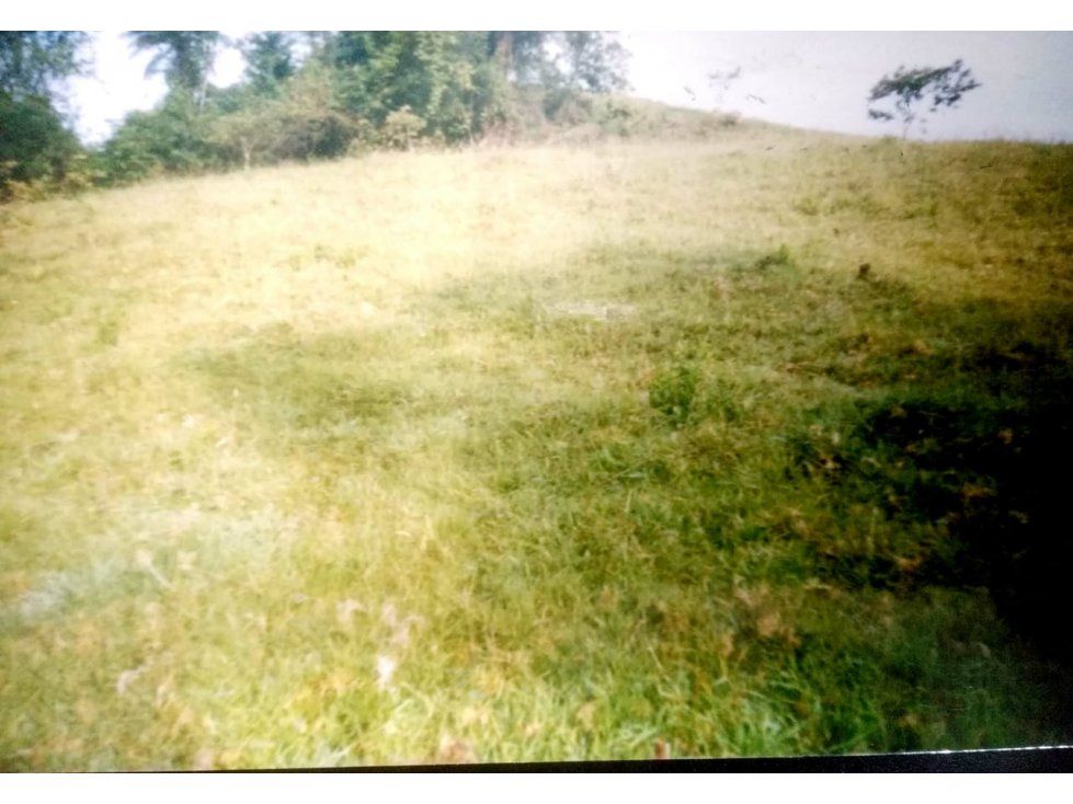 Lote en venta Caldas Manizales Sinai 30000 m2 Habitaciones 0 Baños 0 Garajes 0 Precio $600000000