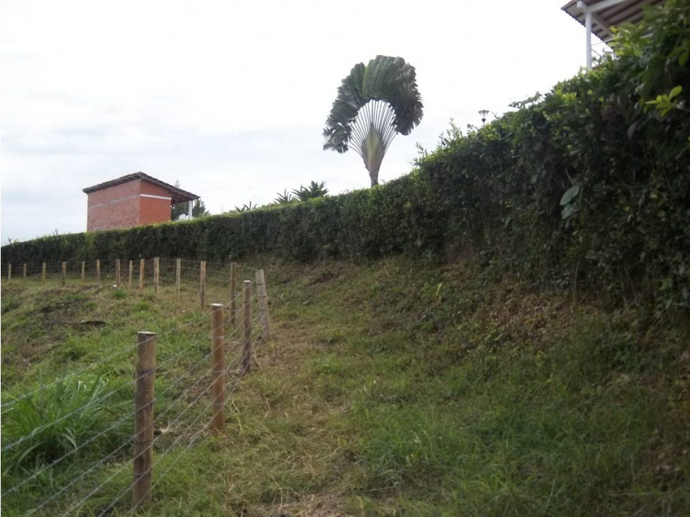 Lote en venta Caldas Risaralda Risaralda 2590 m2 Habitaciones 0 Baños 0 Garajes 0 Precio $200000000