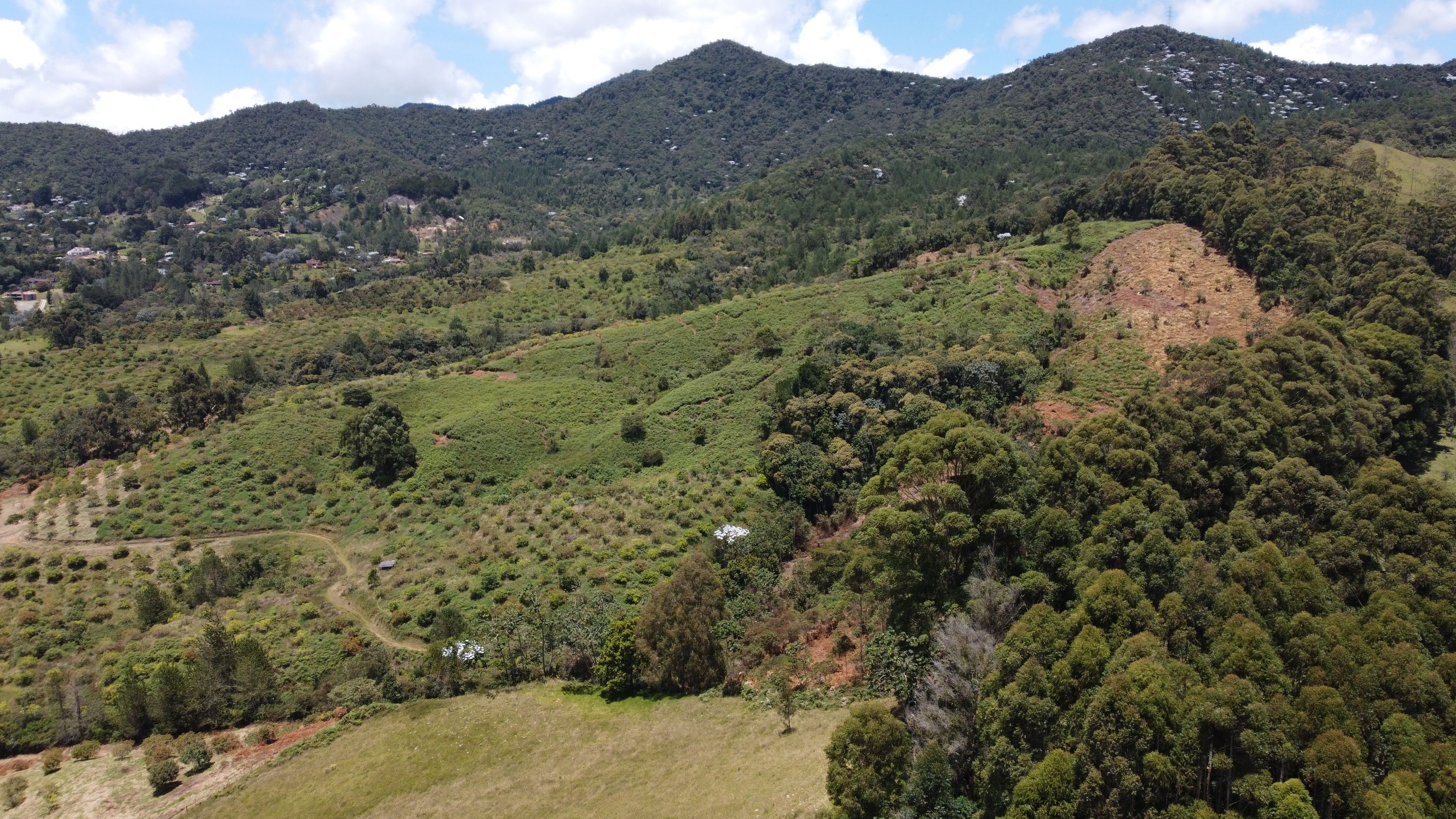 en undefined Undefined Undefined Undefined 2500 m2 Precio $695000000