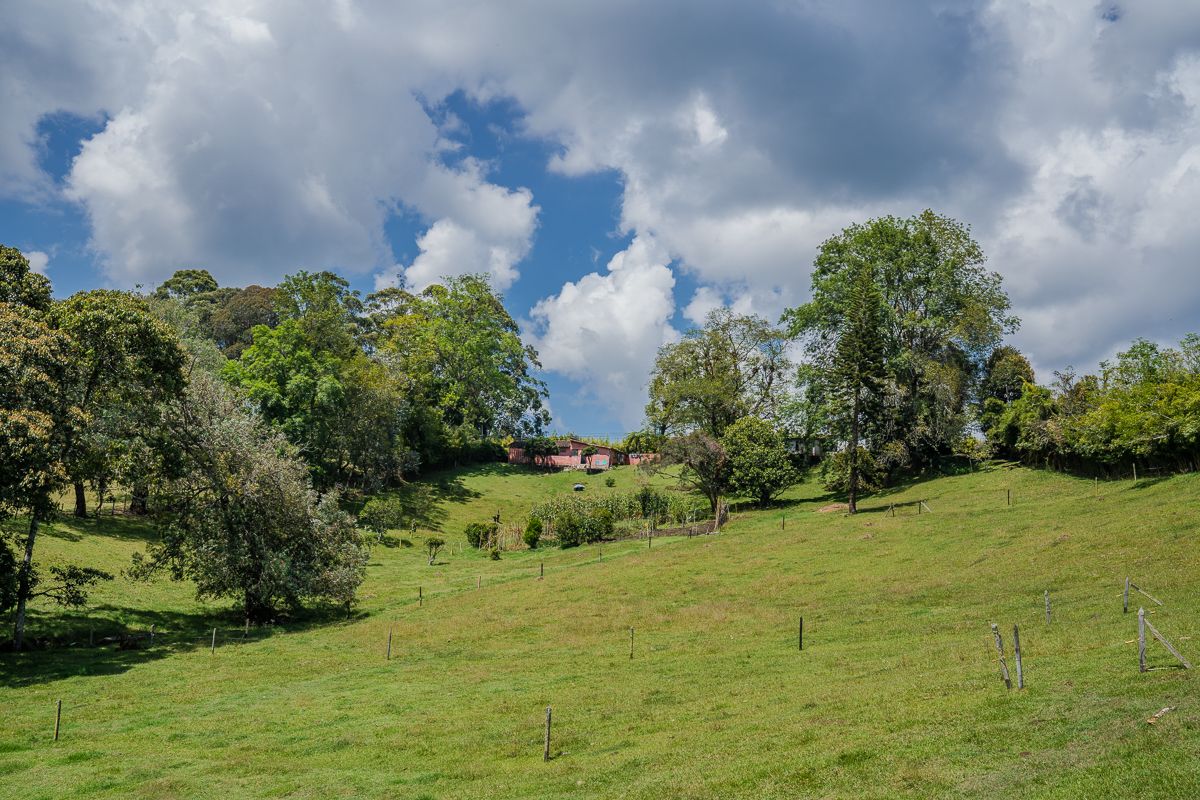 Proyectos Comerciales Serrania Fizebad Lote en venta Antioquia El Retiro Fizebad 1754 m2 Habitaciones 0 Baños 0 Garajes 0 Precio $850000000