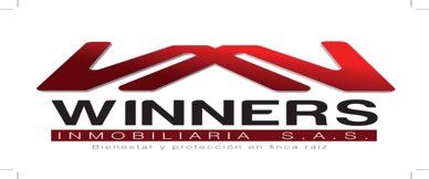 logo-Winners Inmobiliaria