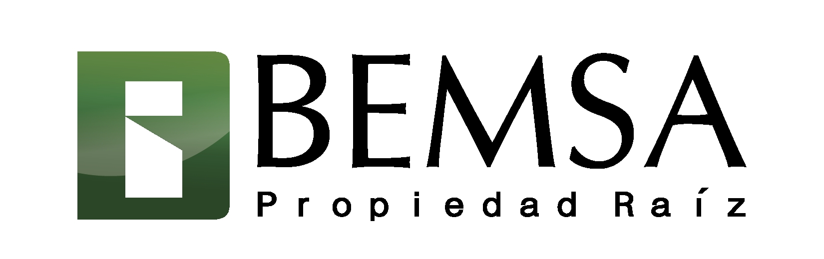 logo-BEMSA S.A.S