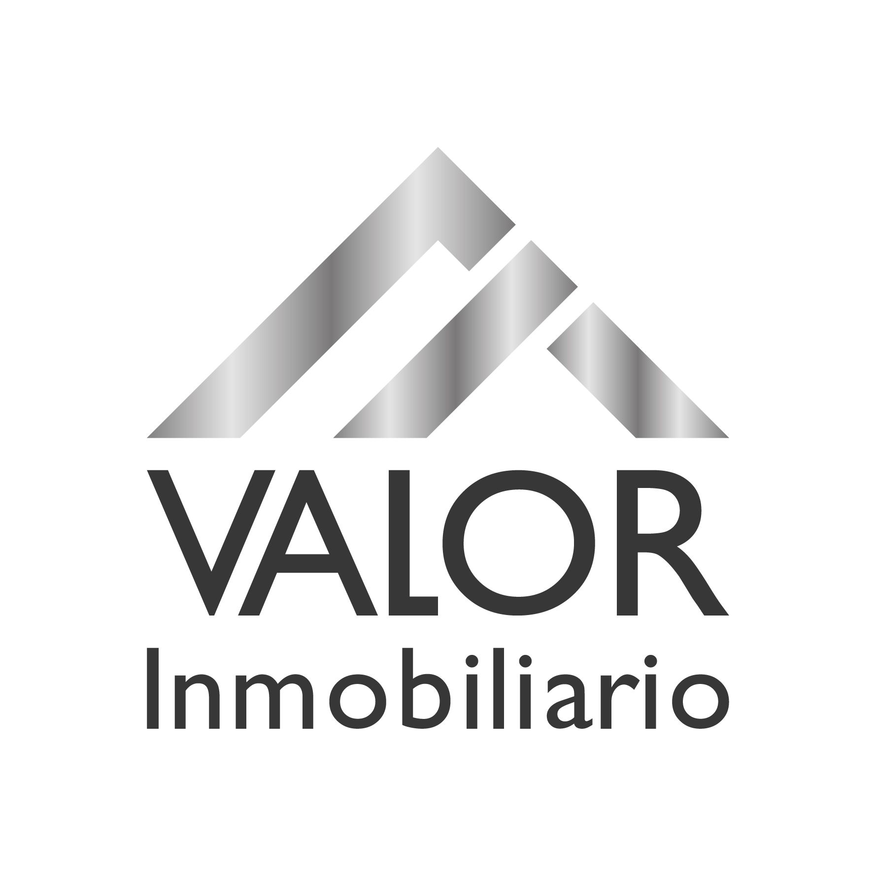 logo-VALOR INMOBILIARIO SAS