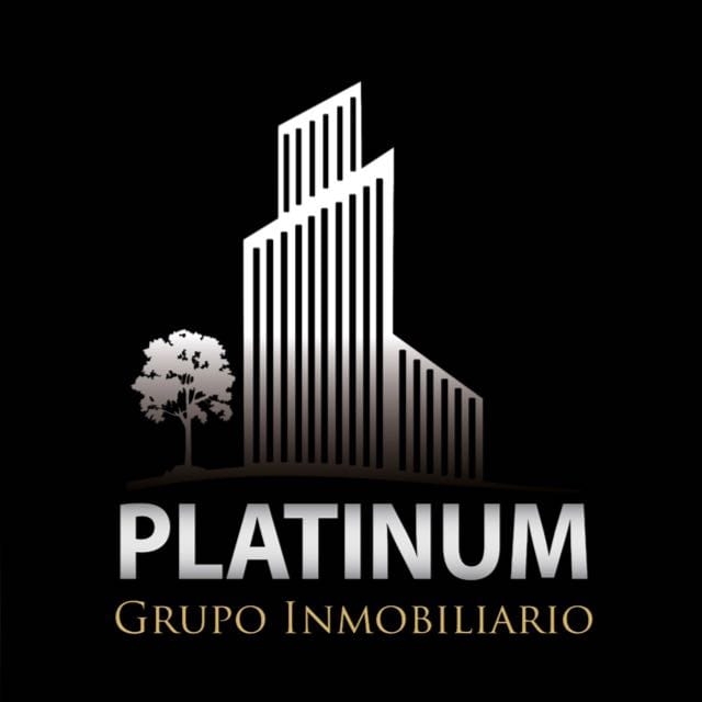 logo- Platinum Grupo Inmobiliario