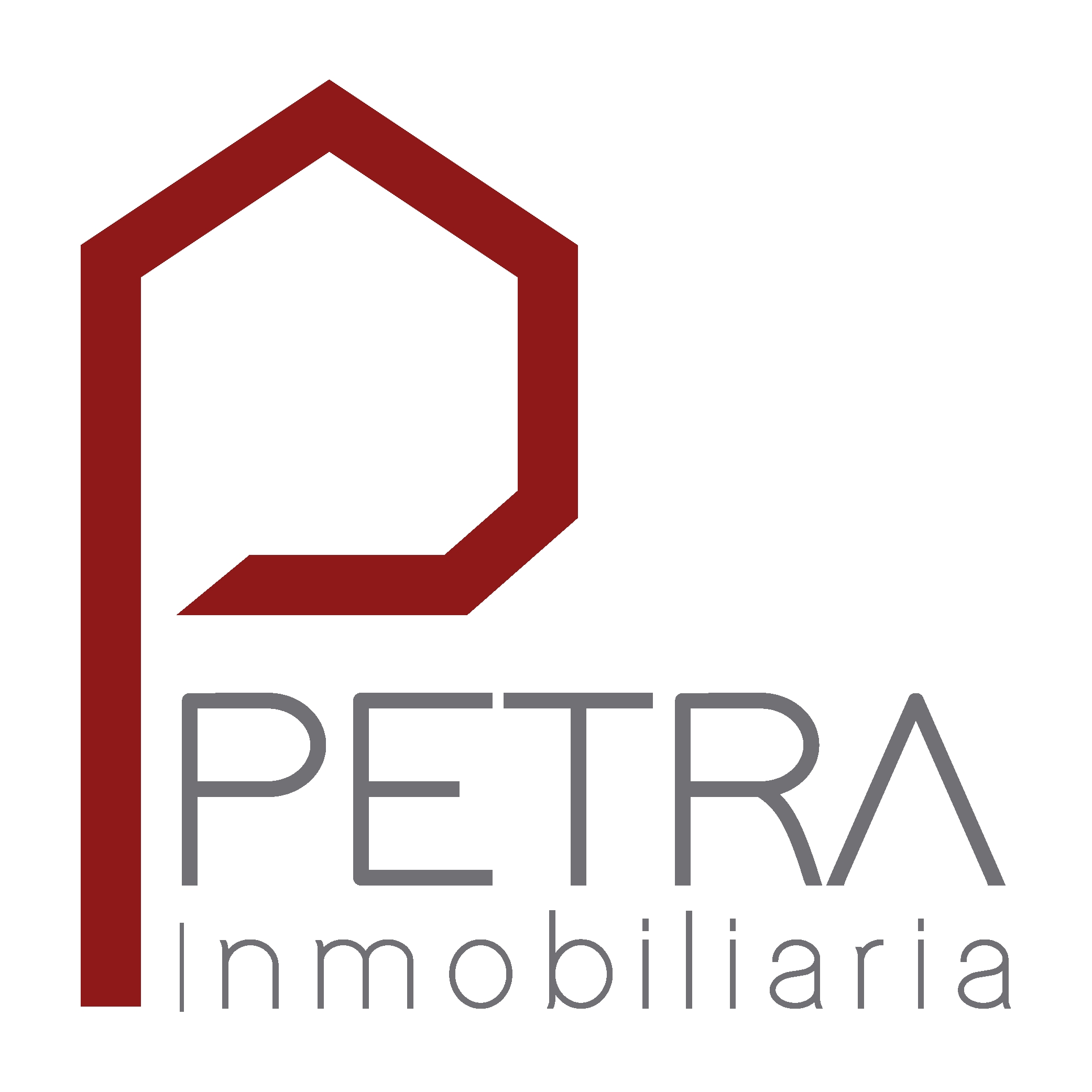 logo-Petra Group S.A.S